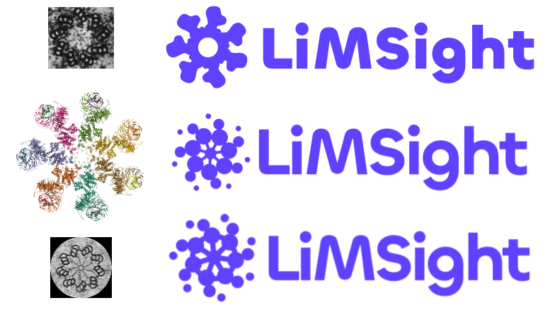 Early logo iterations